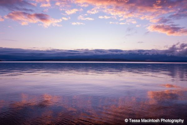 tessa-macintosh-photo