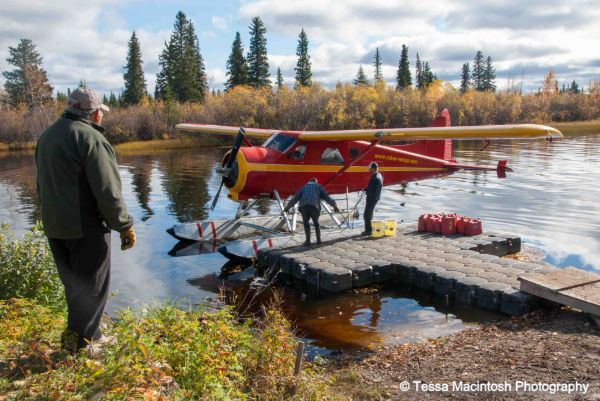 tessa-macintosh-photo