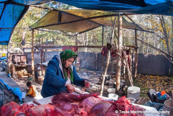 tessa-macintosh-photo