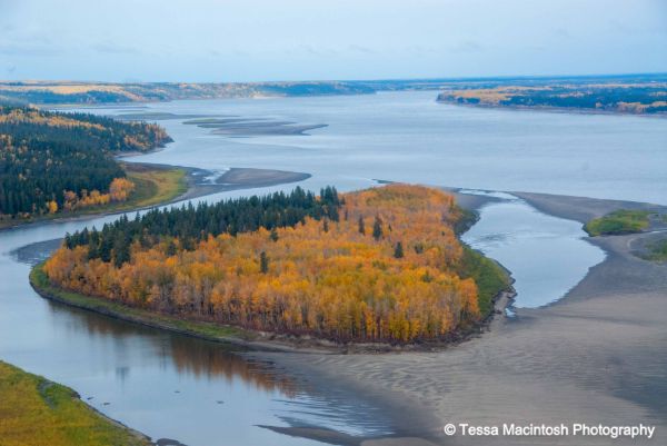 tessa-macintosh-photo