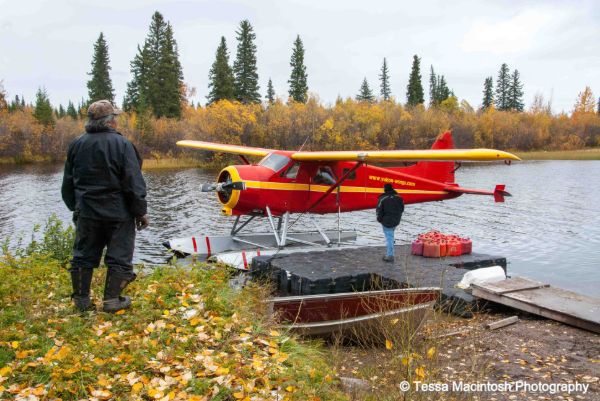 tessa-macintosh-photo