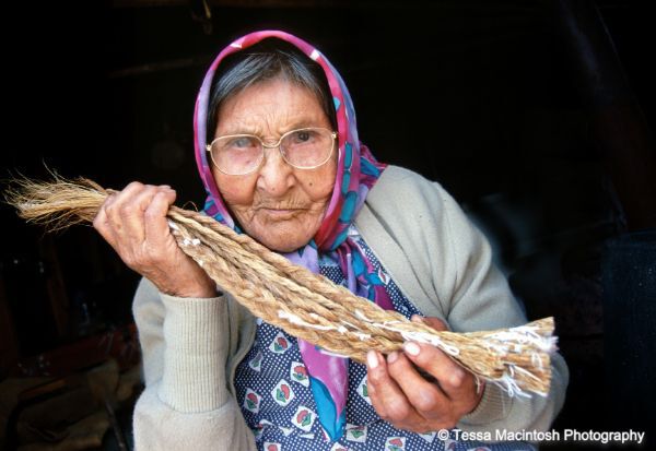 tessa-macintosh-photo