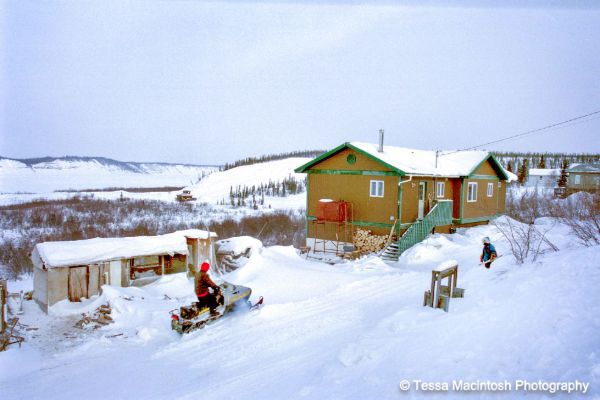 tessa-macintosh-photo