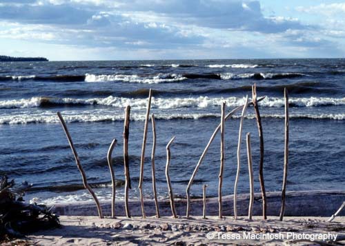 tessa-macintosh-photo