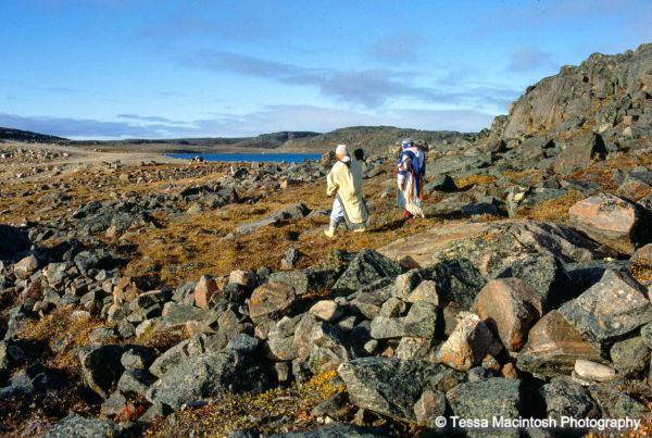 tessa-macintosh-photo