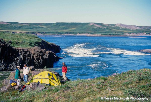 tessa-macintosh-photo