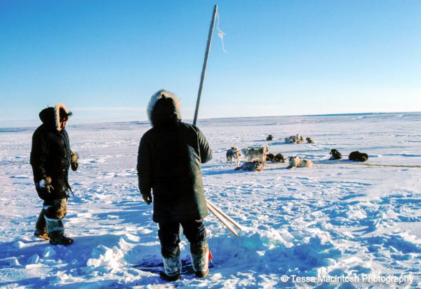 tessa-macintosh-photo