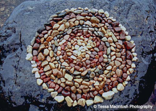 tessa-macintosh-photo