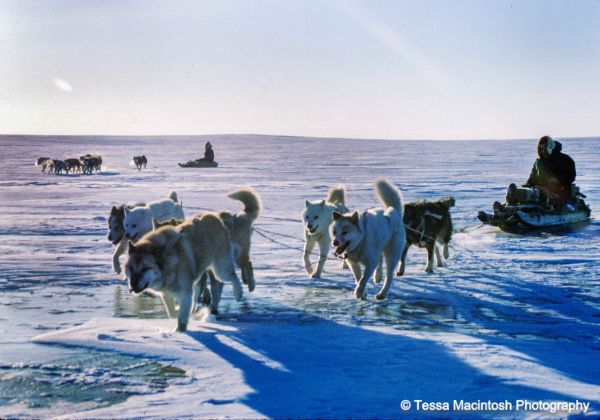 tessa-macintosh-photo