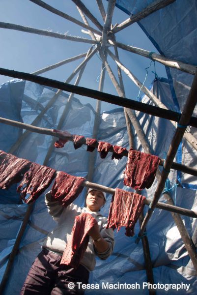 tessa-macintosh-photo