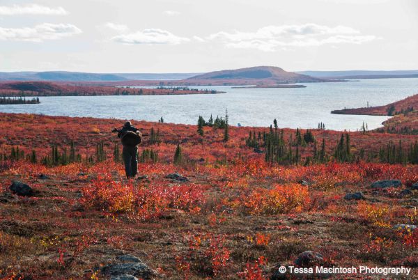 tessa-macintosh-photo