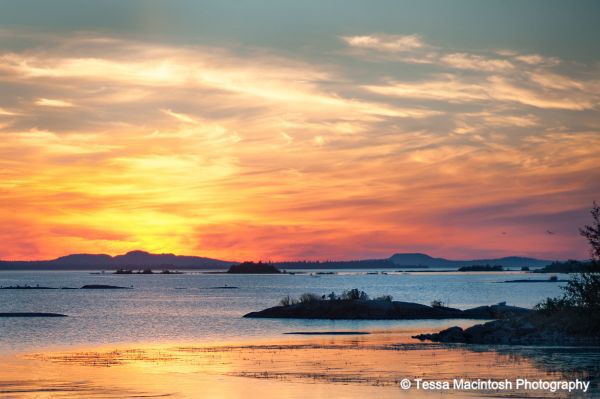 tessa-macintosh-photo