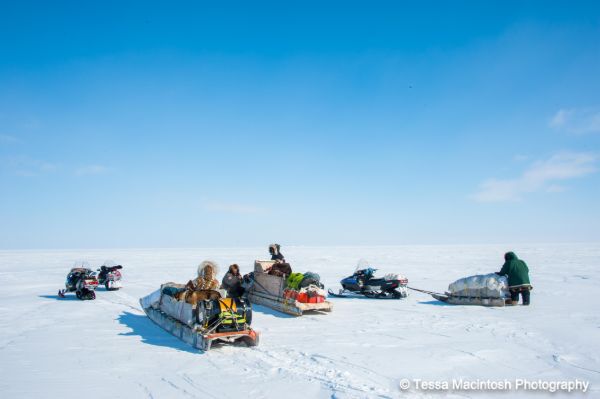 tessa-macintosh-photo