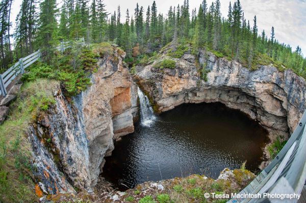 tessa-macintosh-photo