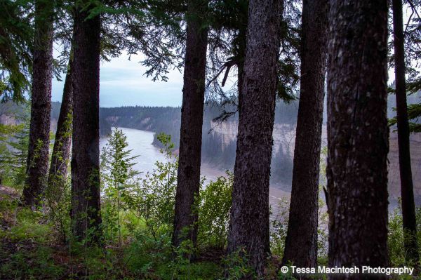 tessa-macintosh-photo