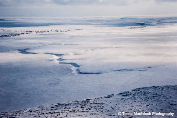 tessa-macintosh-photo