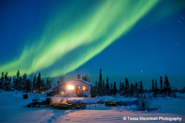 tessa-macintosh-photo