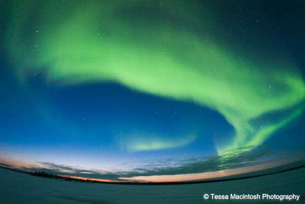 tessa-macintosh-photo