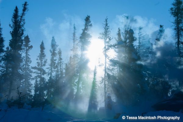 tessa-macintosh-photo