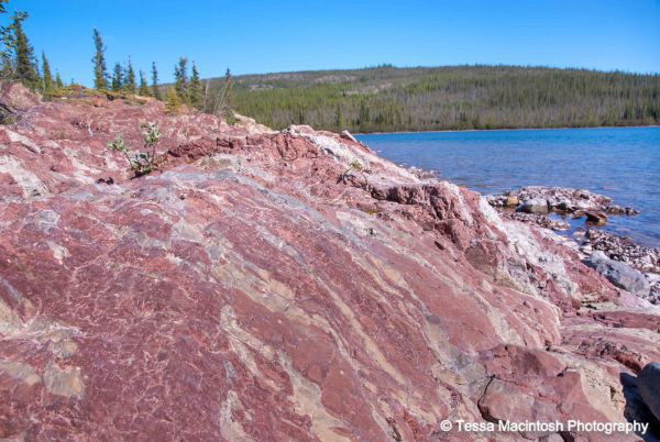 tessa-macintosh-photo