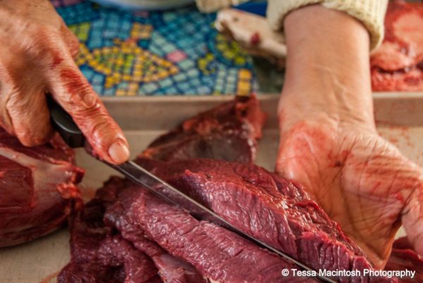 tessa-macintosh-photo