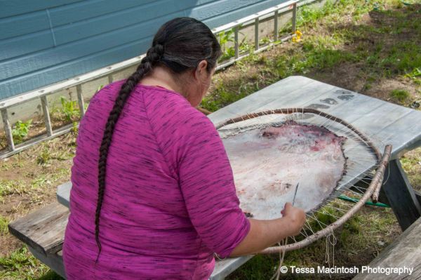 tessa-macintosh-photo