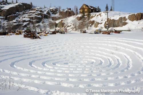 tessa-macintosh-photo