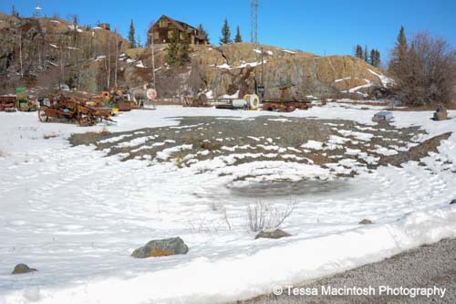 tessa-macintosh-photo