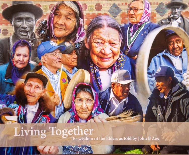 tessa-macintosh-photo