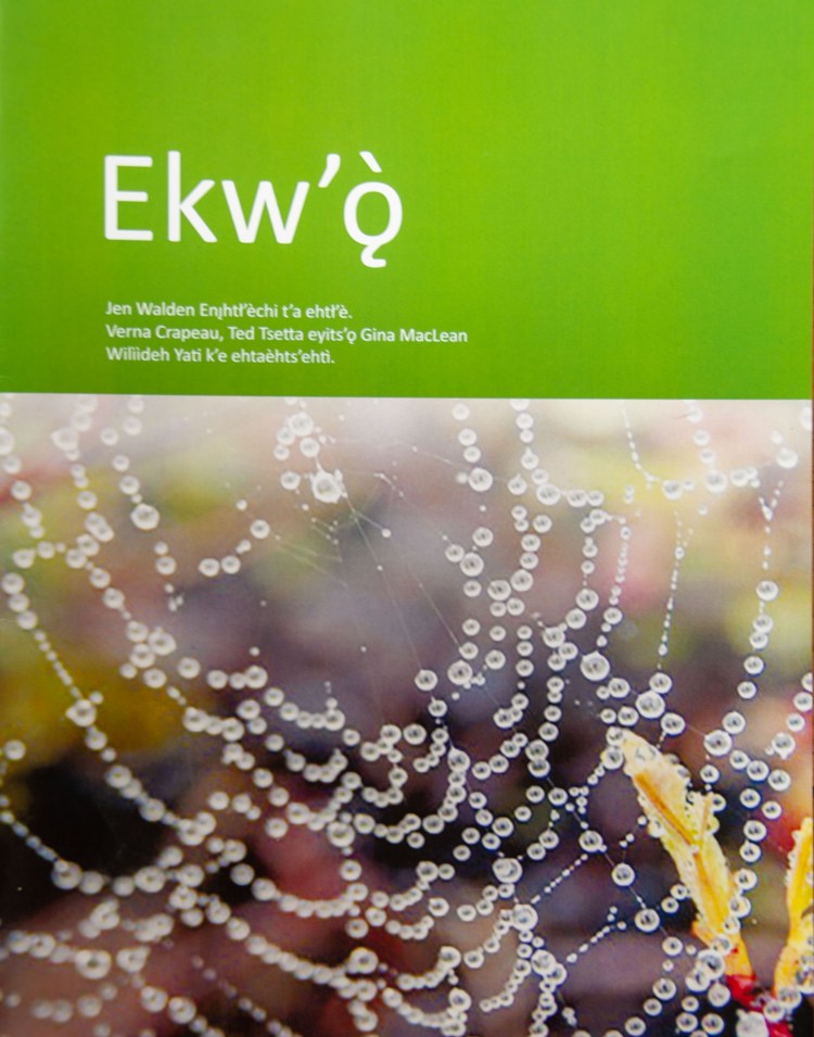 tessa-macintosh-photo