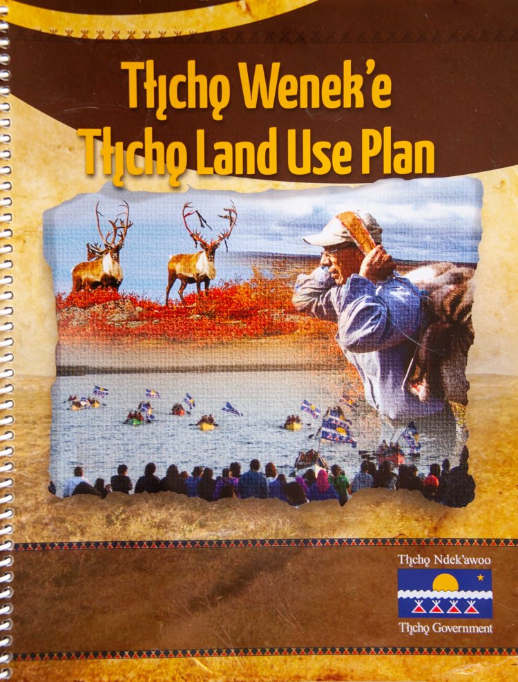 tessa-macintosh-photo