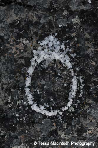 tessa-macintosh-photo