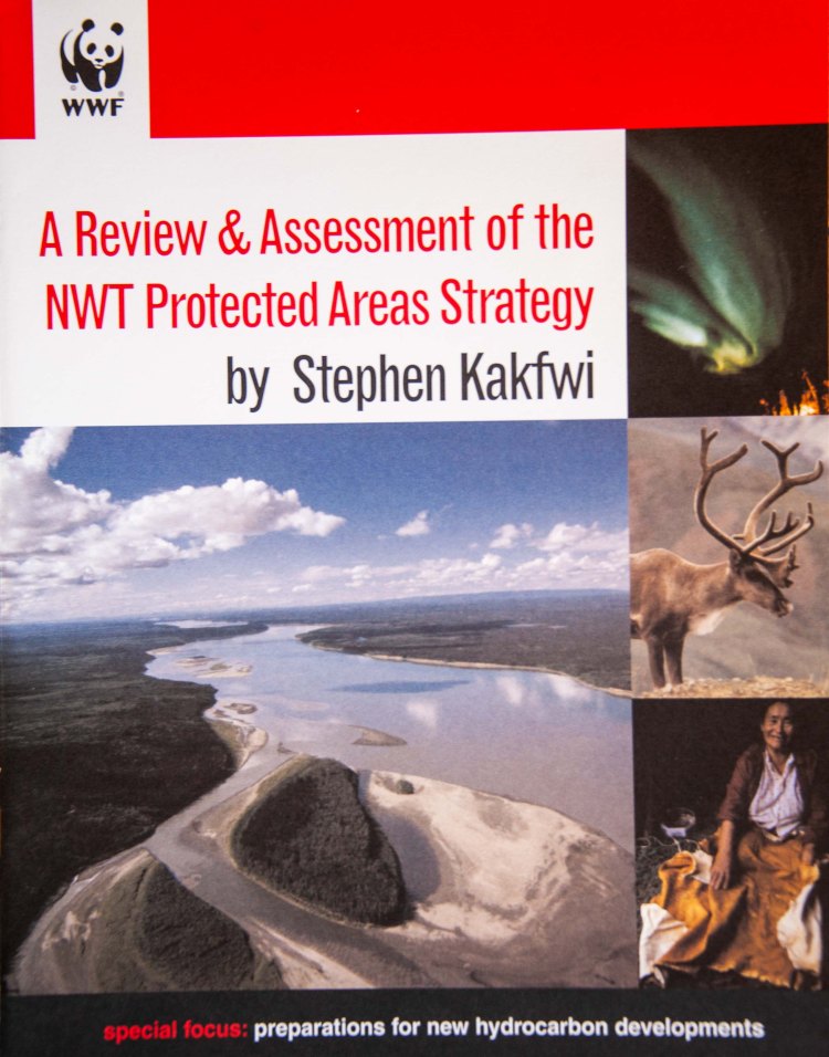 tessa-macintosh-photo