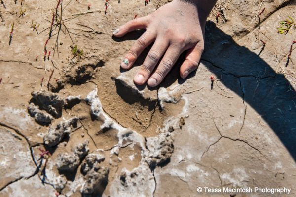 tessa-macintosh-photo