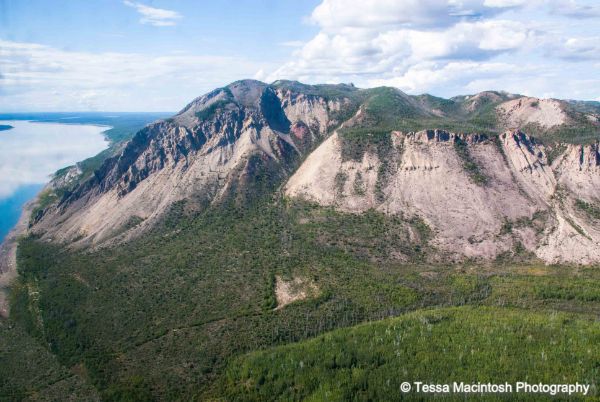 tessa-macintosh-photo