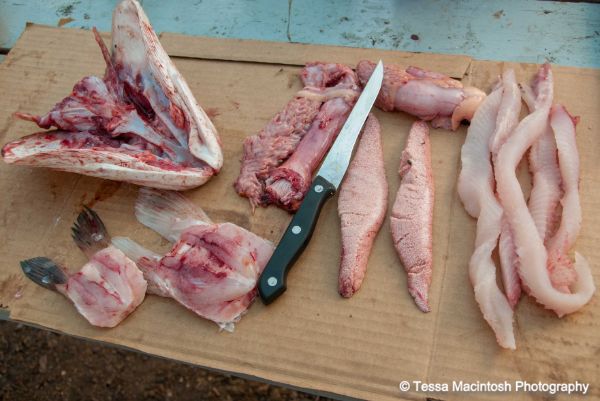 tessa-macintosh-photo