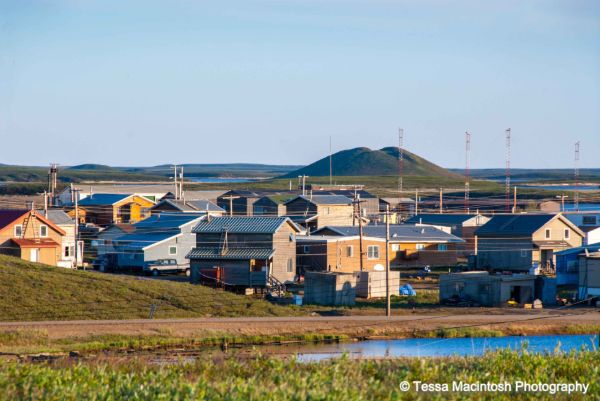 tessa-macintosh-photo