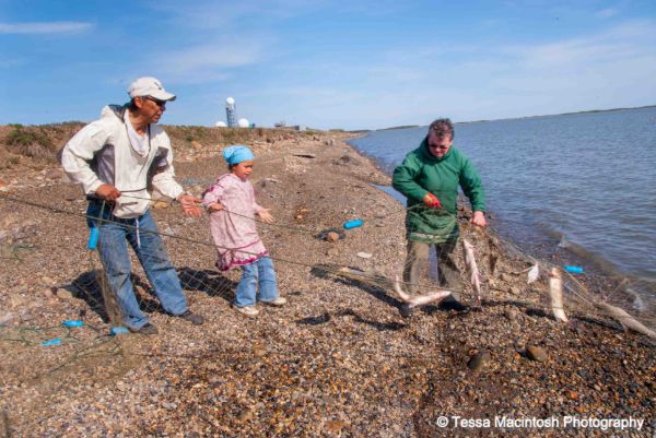 tessa-macintosh-photo