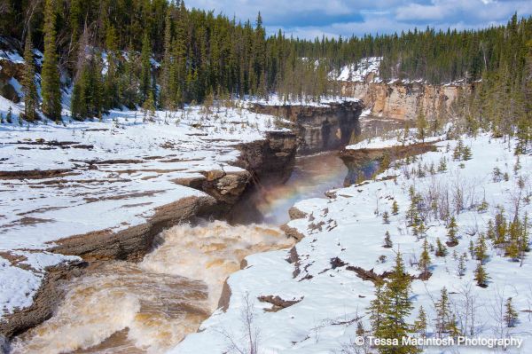 tessa-macintosh-photo