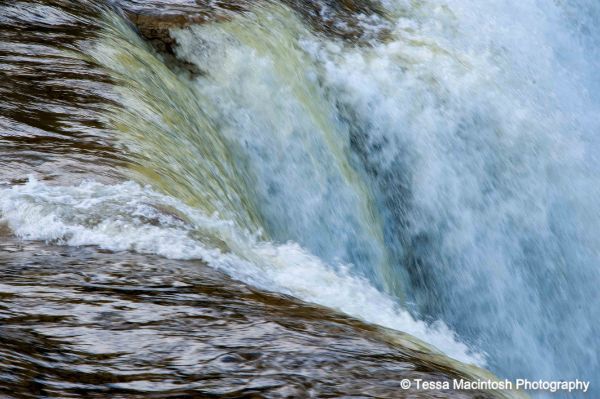 tessa-macintosh-photo