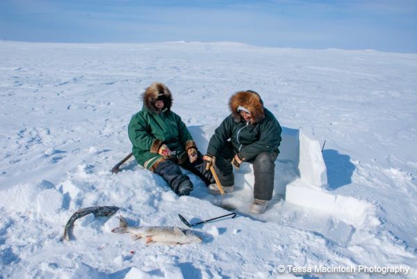 tessa-macintosh-photo