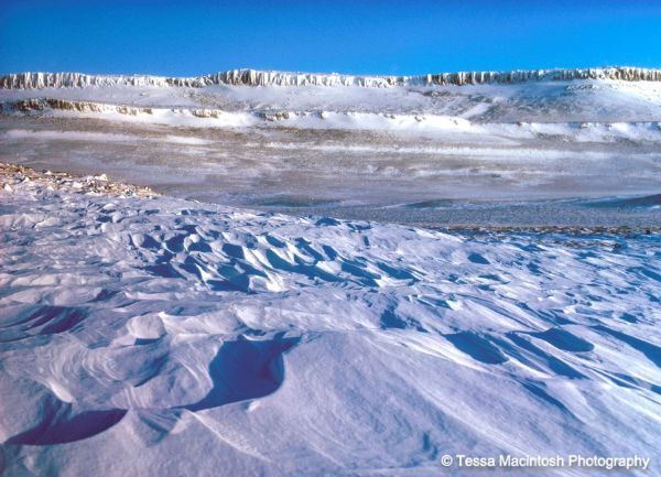 tessa-macintosh-photo