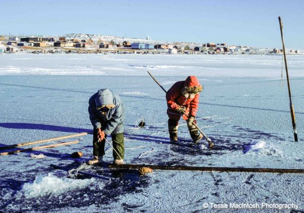 tessa-macintosh-photo