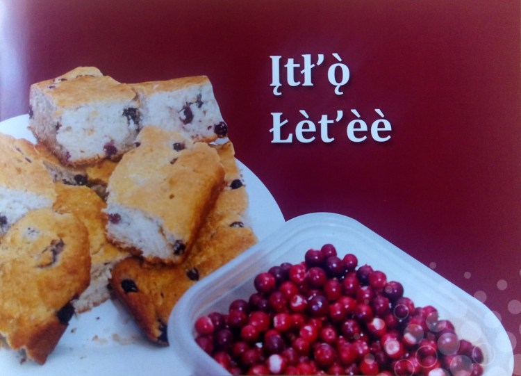 tessa-macintosh-photo