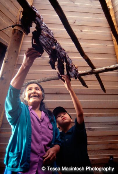 tessa-macintosh-photo