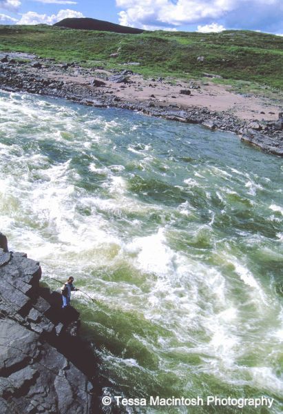 tessa-macintosh-photo