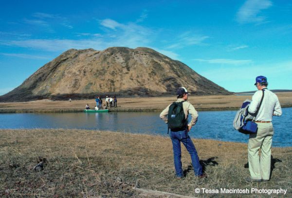 tessa-macintosh-photo