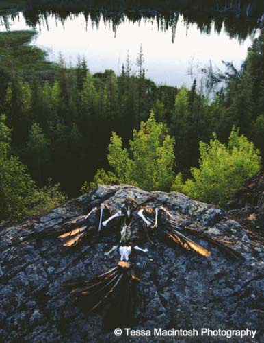 tessa-macintosh-photo