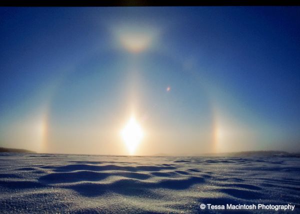 tessa-macintosh-photo