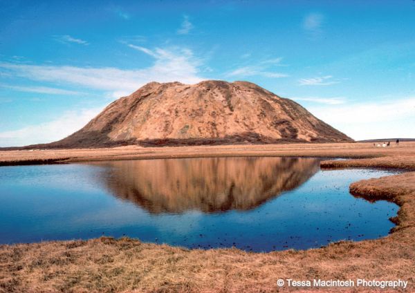 tessa-macintosh-photo